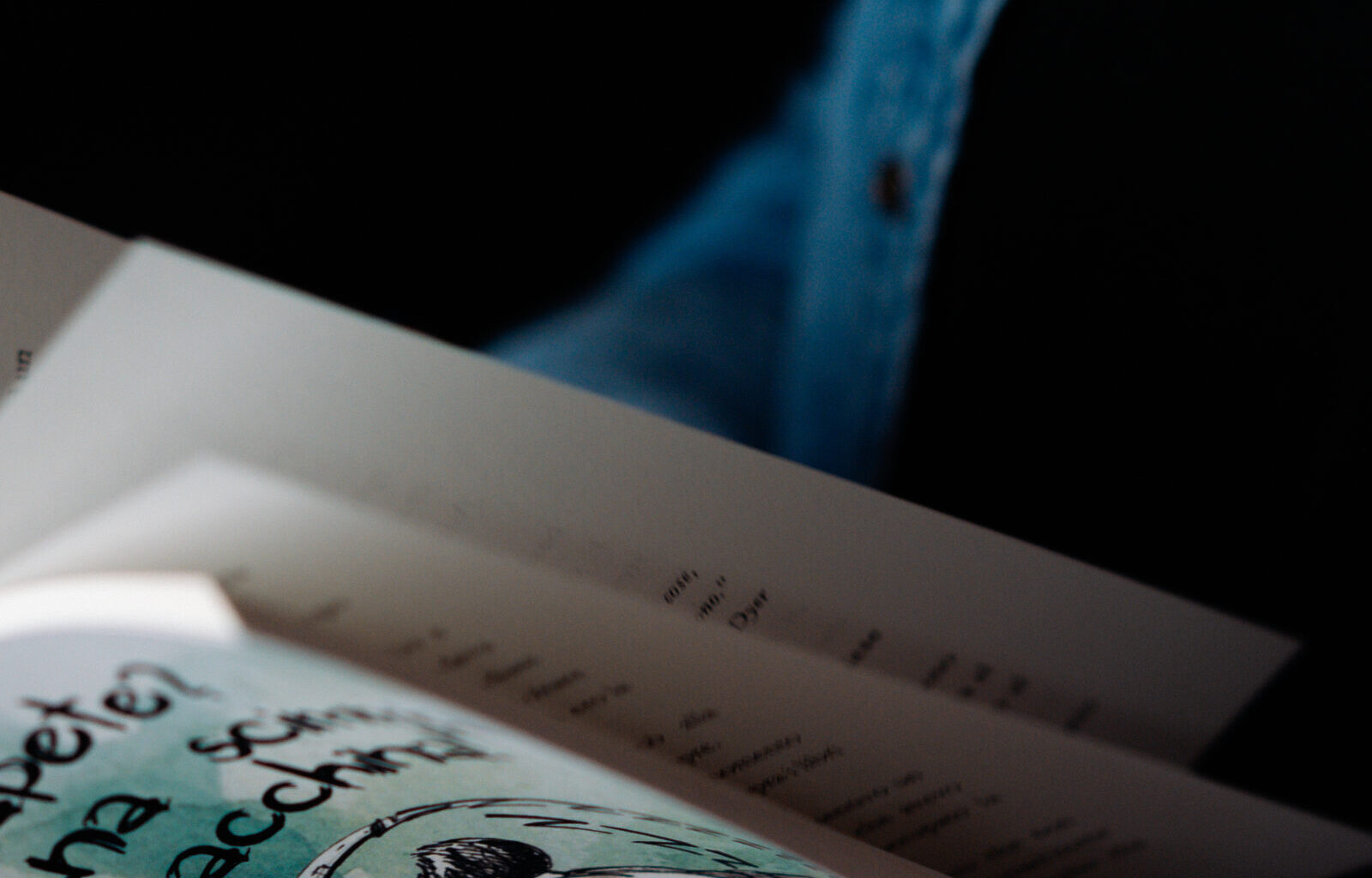 libro Barbara Baldissin